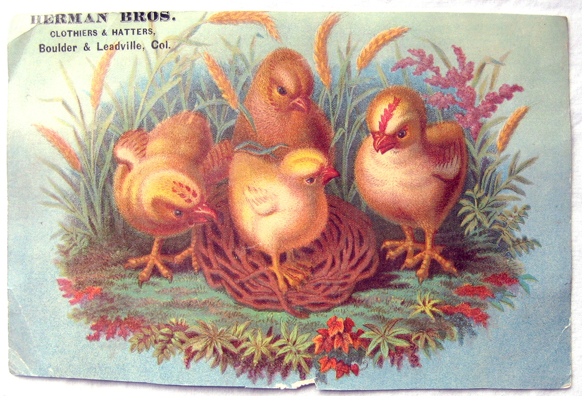 Trade Card