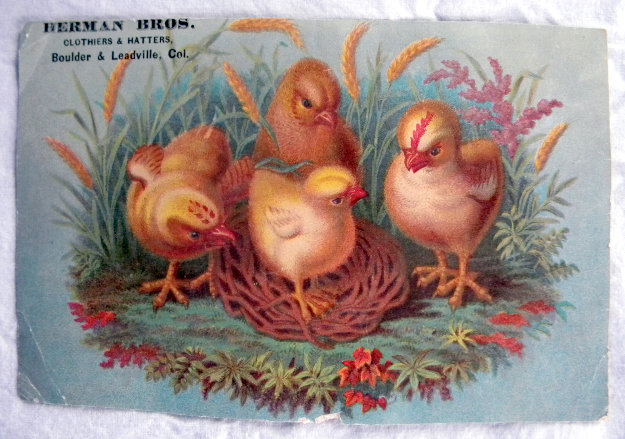 Trade Card