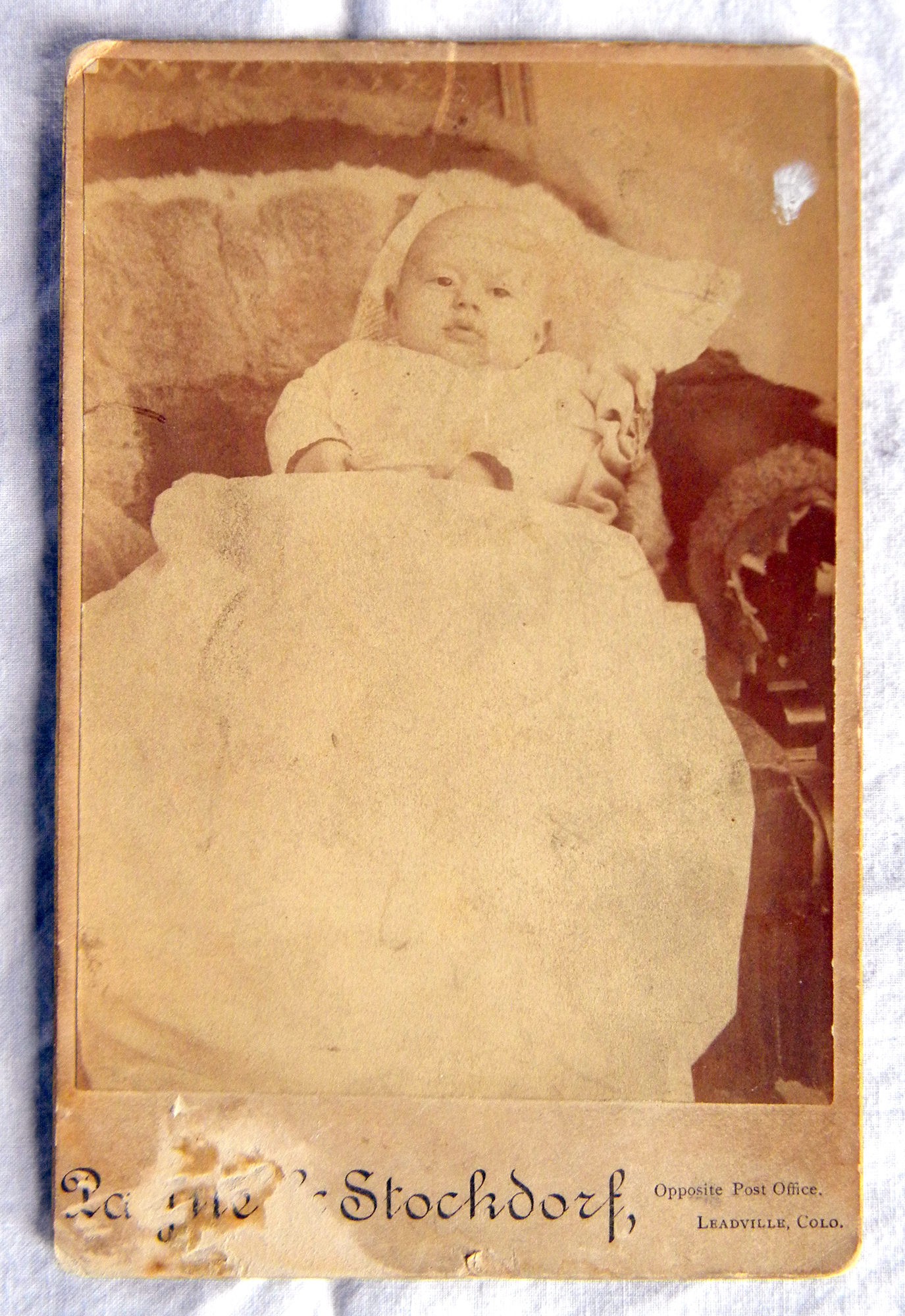 Cabinet Card