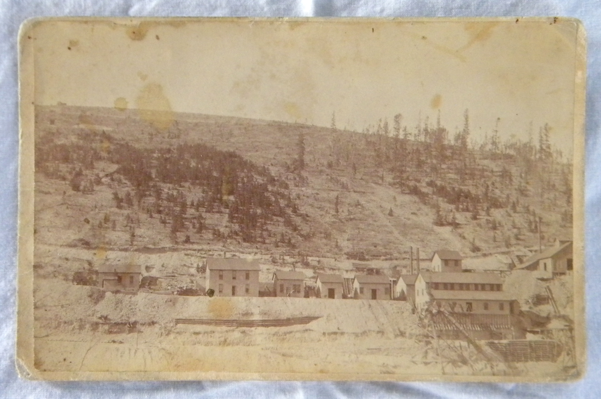 Cabinet Card