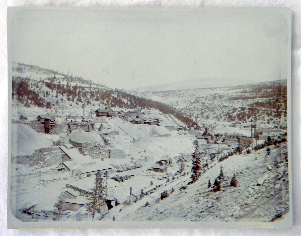 Cabinet Card