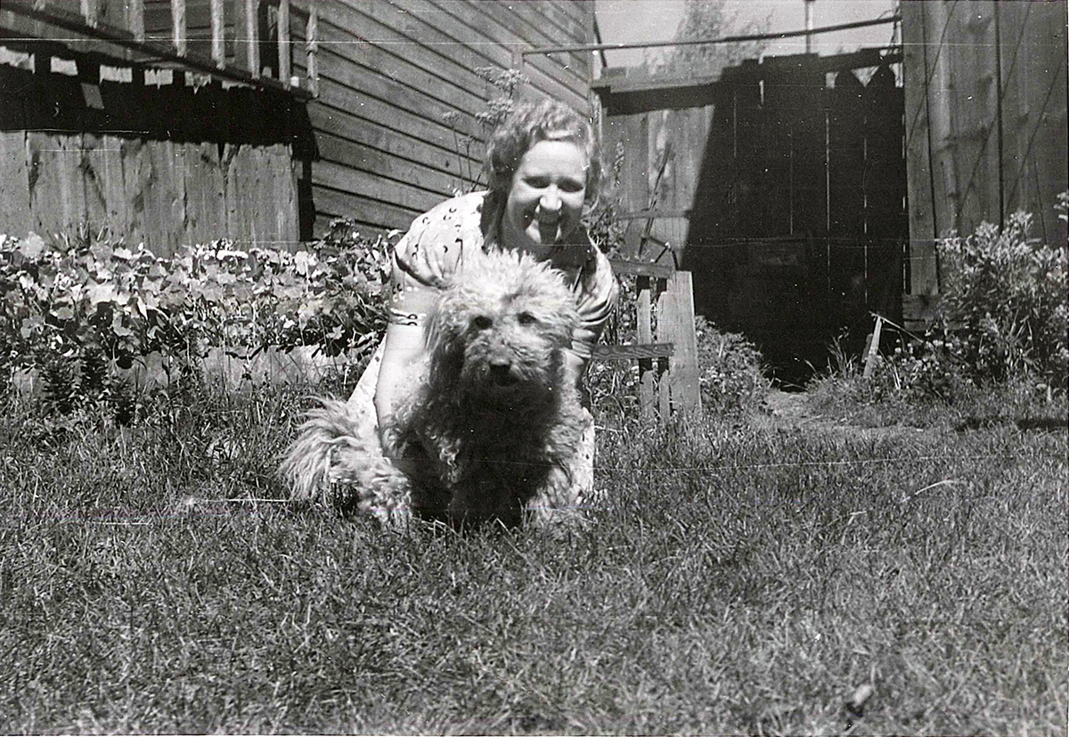 Photograph