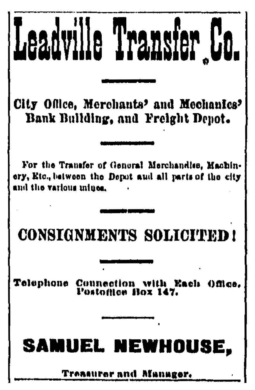 Leadville Daily Herald, July 29, 1882