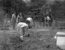 Volunteers Working at the Leadville Hebrew Cemetery Cleanup, May 28, 1972