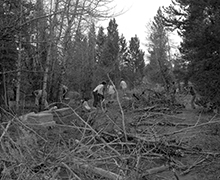 Volunteers Working at the Leadville Hebrew Cemetery Cleanup, May 28, 1972