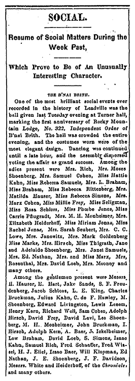 Leadville Daily Herald. November 14, 1880.