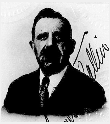 United States passport photograph of Siegfried Fred Ballin, circa 1900.  