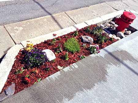 Front Garden