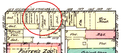 The family continued to live at 117 or 119 Harrison Avenue.