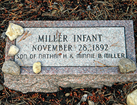 Infant Miller